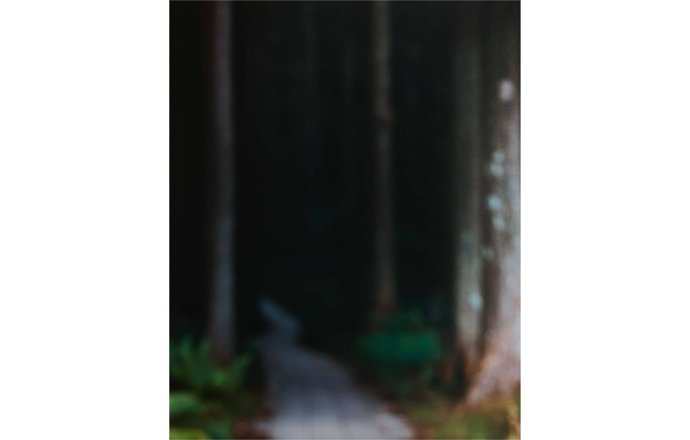 奥山晴日 写真展