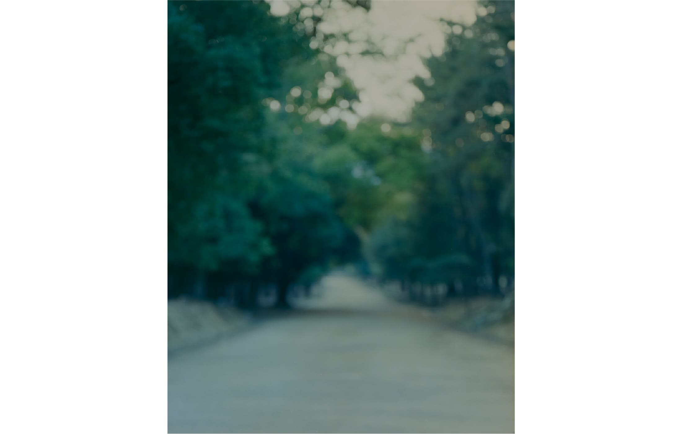 奥山晴日 写真展