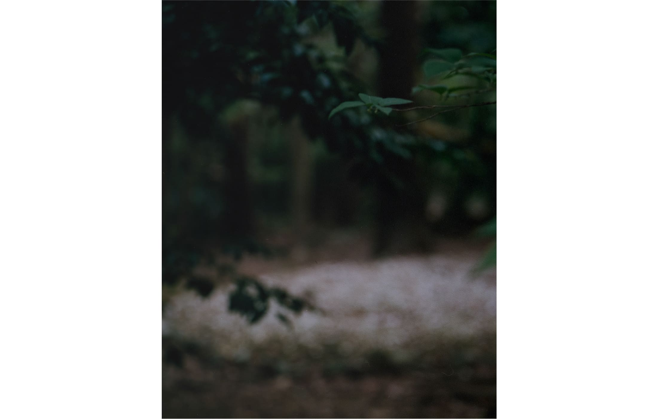 奥山晴日 写真展