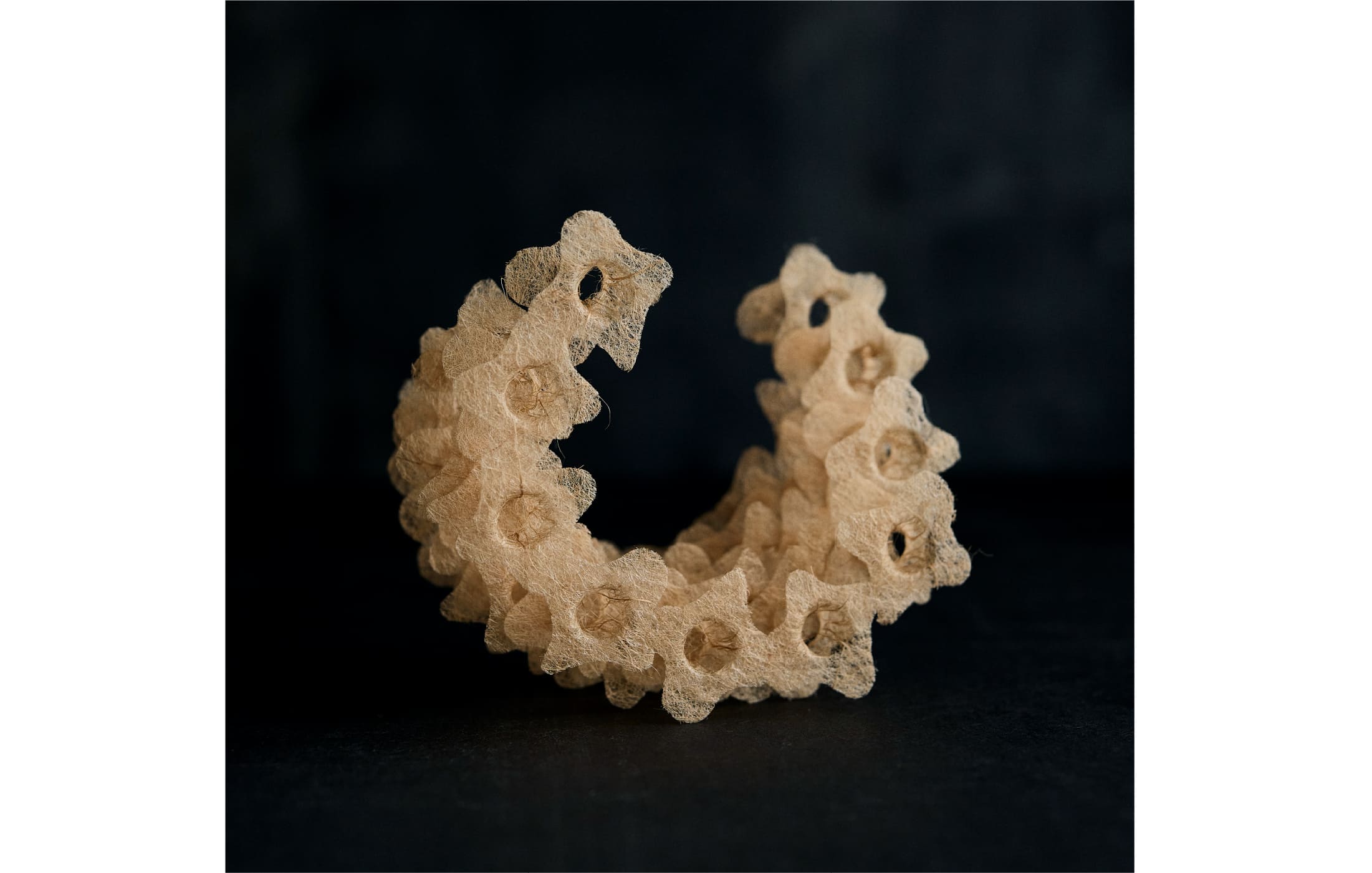 芹野 直子 ×古橋矢須秀 展覧会