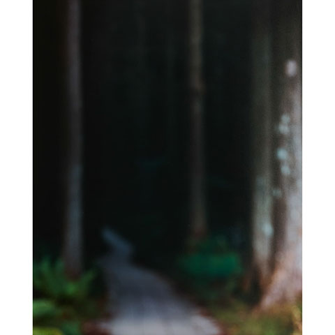 奥山晴日 写真展